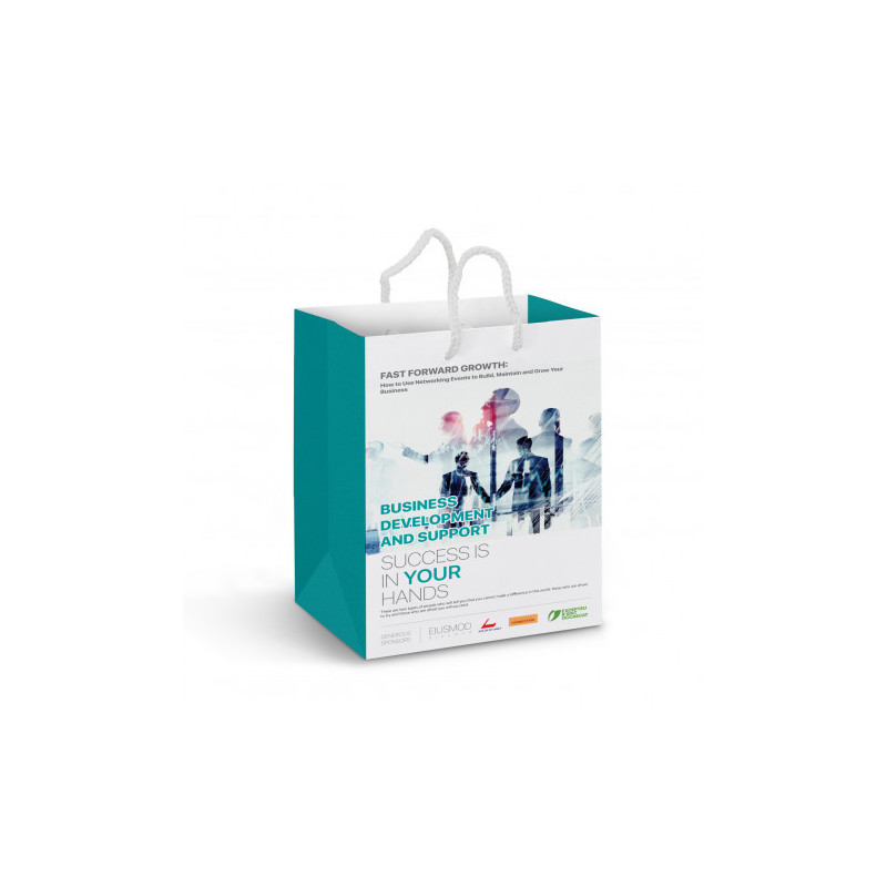 Medium Laminated Paper Carry Bag - Full Colour