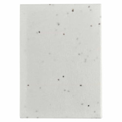 Lavender Seed Sticky Note Pad