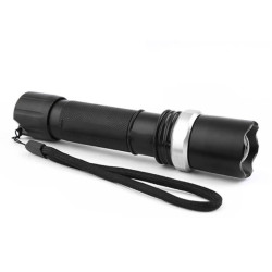 Danube Torch