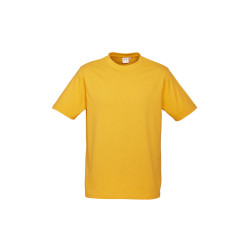 Mens Ice T-Shirt