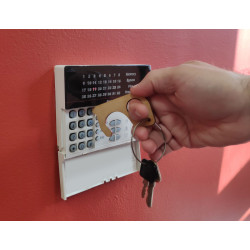 Touch Guard Keyring
