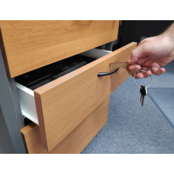Touch Guard Keyring