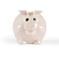 Worlds Smallest Pig Eco Coin Bank