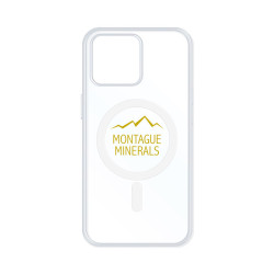 Troy Magsafe Case - iPhone 12 Pro Max