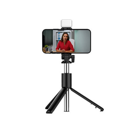 Reunion LED Selfie Stand (96)