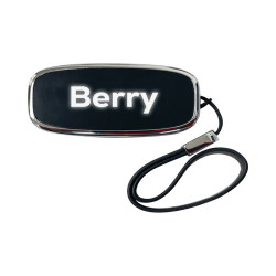 Berry LED Flash Drive 4GB - 64GB (USB2.0)
