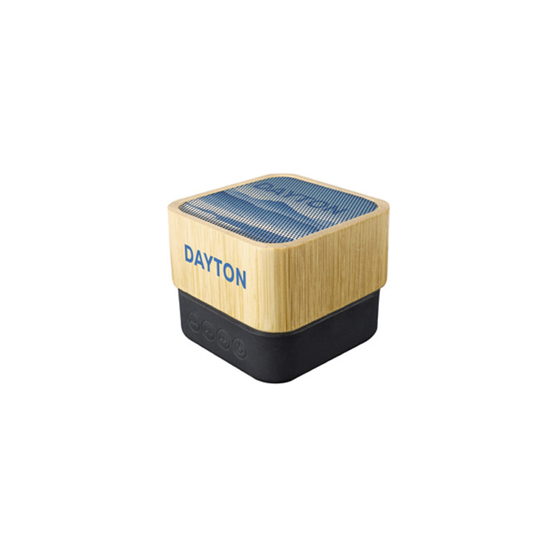 Dayton Wireless Speaker