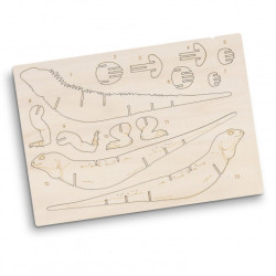 BRANDCRAFT Tuatara Wooden Model