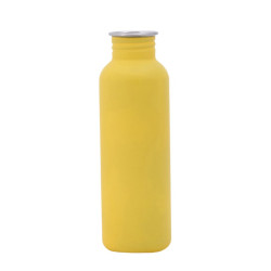 750ml Matte Stainless Steel Drink Bottle