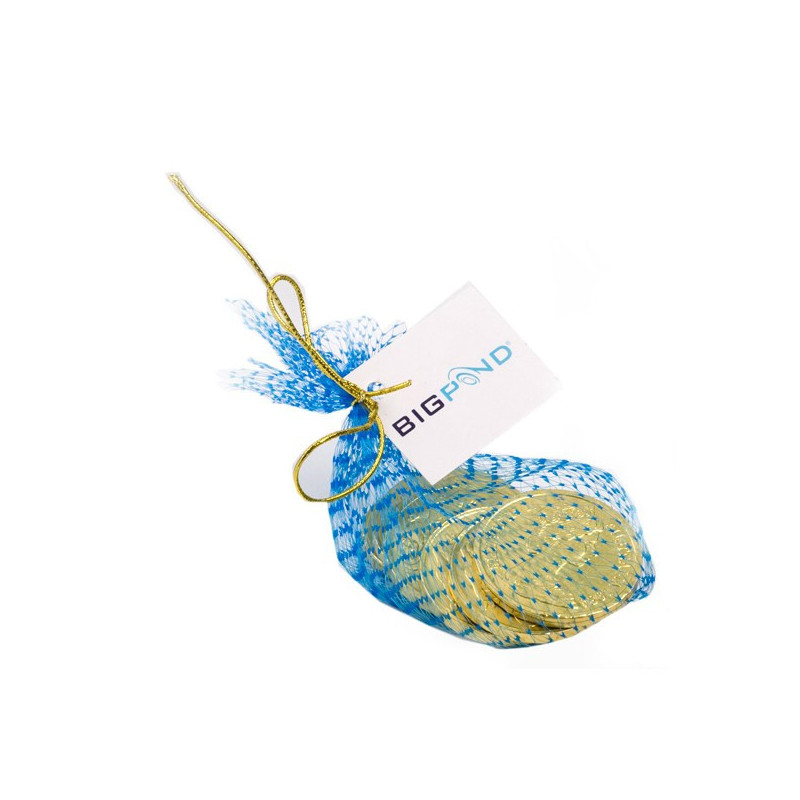 Chocolate Coins in Mesh Bag with Gold Elastic Ribbon Tied in A Bow X6