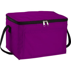 Spectrum Budget 6 Can Lunch Cooler