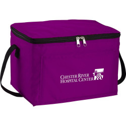 Spectrum Budget 6 Can Lunch Cooler