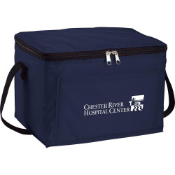 Spectrum Budget 6 Can Lunch Cooler