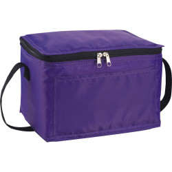 Spectrum Budget 6 Can Lunch Cooler