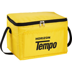 Spectrum Budget 6 Can Lunch Cooler
