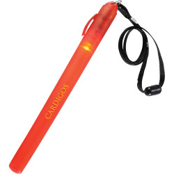 The Pulsar Light Stick