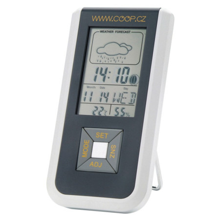 Weather Station