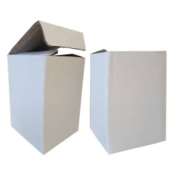 Carry Cup Glass