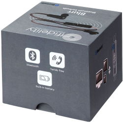 ifidelity Blurr Bluetooth Earbuds