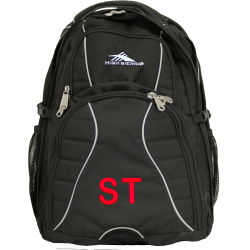 High Sierra Swerve 17 inch Computer Backpack