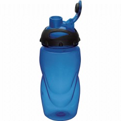 Gobi 17-oz. Sports Bottle