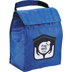 Spectrum Budget Lunch Cooler