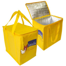 Insulated Cooler bag 