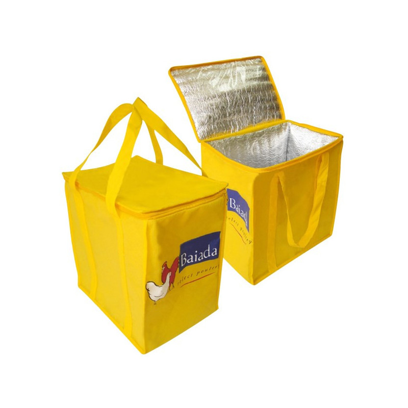 Insulated Cooler bag 