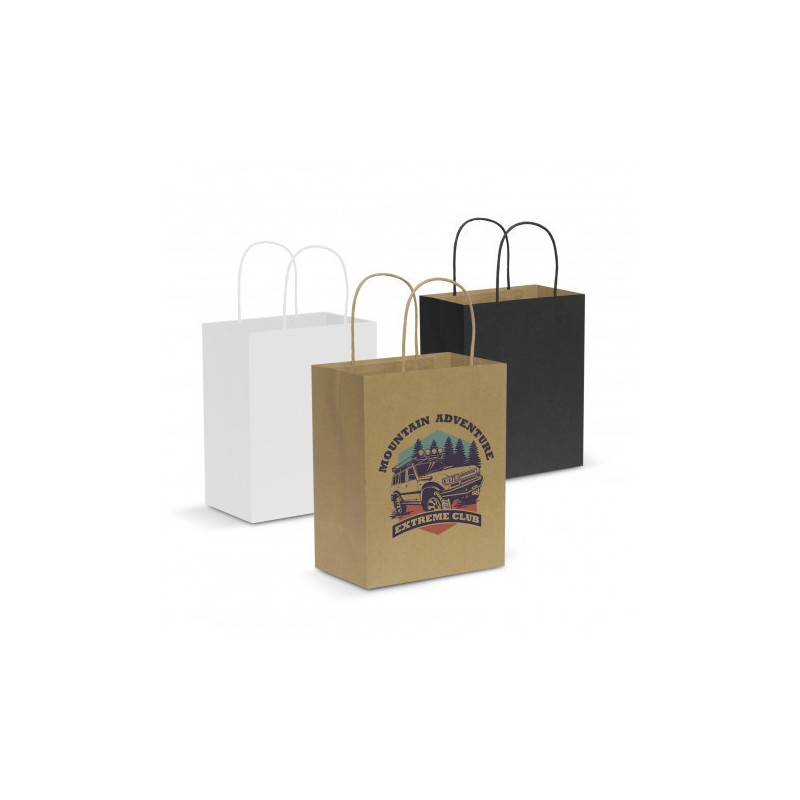 Paper Carry Bag - Medium