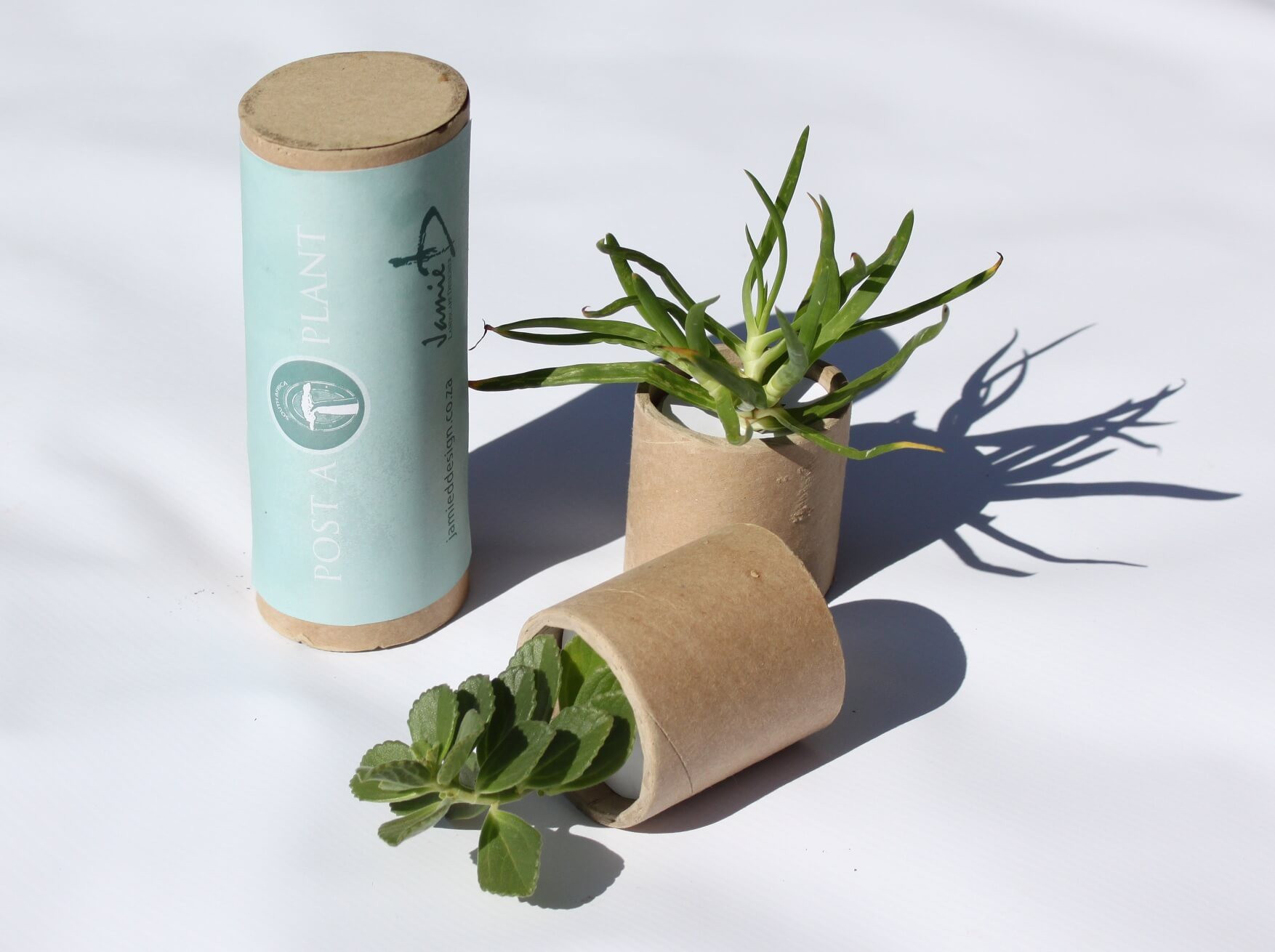 Environmental Products