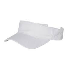 Visors